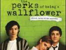 PERKS OF BEING A WALLFLOWER SOUNDTRACK NEW VINYL