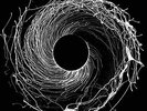 DAWN OF MIDI-DYSNOMIA  VINYL LP NEW