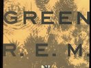 VINYL LP REM - Green WB 25795 ( R.E.M. ) MASTERDISK 1st Pressing 1988 NM