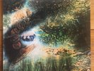 Pink Floyd – A Saucerful Of Secrets – Progressive-Psych Rock Import Vinyl LP