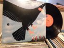 TUCKY BUZZARD SELF TITLED LP RECORD