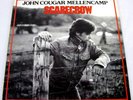 John Cougar Mellencamp 1985 Scarecrow Vinyl LP Album Record Pop Rock Music