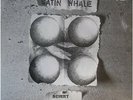 Satin Whale:  