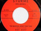 HEAR IT 60's 45 rpm record Ray Ruff 