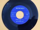 The Rumblers “ Angry Sea (waimes). Downey 107 from 1963 VG +