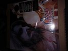 SEALED Leon Russell Carney 12