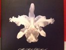 KINGS OF LEON-AHA SHAKE HEARTBREAK-2 x 10