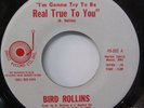 BIRD ROLLINS Real I'm Gonna Try To Be Real True To You 70's FUNK 45 DISCO CO.