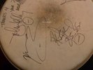 TYPE O NEGATIVE John Kelly October Rust Tour Used Signed Drum Skin Peter Steele