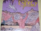 Raw Energy - White Stallion US Private Metal  1988 Raw Records Vinyl LP