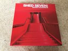 Shed Seven 7X7