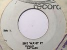 GAYLADS - she want it b/w joy in the morning - WIRL 45