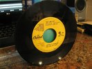 BEACH BOYS 45 PROMO SALT LAKE CITY CAPITOL RECORDS BRYAN WILSON very rare find