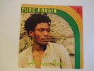 HORACE ANDY - Pure Ranking - Vinyl LP Album 1979 Clocktower Records ROOTS REGGAE