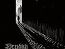DRUDKH - They Often See Dreams About the Spring  LP  RED
