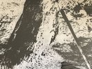 Chauves Pourris Vaterland LP ISD RAC French Rock O Rama