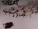 MINOR THREAT - Out Of Step - Vinyl (LP + MP3 download code)