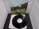 Vinyl Record LP Album TREES ON THE SHORE TEST PRESSING 1989 (8)