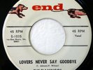 FLAMINGOS 45 Lovers Never Say Goodbye/That Love Is You END doo wop NM d1739