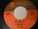 The Riot Squad, Cry Cry Cry, Mod Record 45, Clean Copy