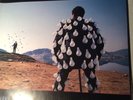 PINK FLOYD  -  DELICATE SOUND OF THUNDER  -  Vinyl