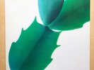 HIROSHI YOSHIMURA - GREEN - JAPAN AMBIENT / NEW AGE GRAIL ORIGINAL 1986 AIR NM