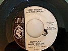 Bobby Roberts & The Ravons -How Can I Make Her Mine - Killer 60s Garage LISTEN