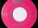DARYL PETTY & GRP 45 Flaming love / The day I die M- HORNET VG++ Doowop Kz 164