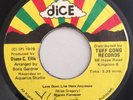 SHARON FORRESTER - LOVE DON'T LIVE HERE ANYMORE - DICE ( LOVERS ROCK 7 )