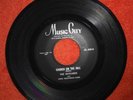 THE GAYLARKS & JOHN HEARTSMAN BAND - MR.ROCK-N-ROLL/CHURCH...45 RECORD MUSIC CIT