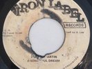 HORACE MARTIN - A BEAUTIFUL DREAM - IRON LABEL ( ROOTS 7 )