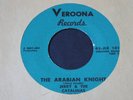 Jerry & The Catalinas   Arabian Knight / Away   Veroona surf exotica 45 HEAR