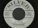 Ohio Bluegrass Bopper 45   Butler Brothers   Silver   Listen