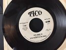 Latin TITO PUENTE Oye Como Va/Pa'Lante-Straight white label promo TICO free ship