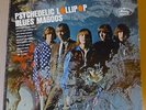 BLUES MAGOOS Psychedelic Lollipop LP MERCURY 1966 US orig+stereo SR 61096