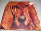 Ty Segall - Goodbye Bread - LP Vinyl /// Neu & OVP
