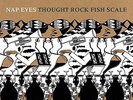 Thought Rock Fish Scale [VINYL] Nap Eyes Vinyl