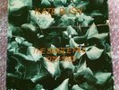 Kate Bush: The Single File Vinyl Picture Sleeve Box Set (13 x 7