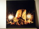 PETER BUCK LP self titled 2012 Mississippi Change r.e.m. rem indie rock