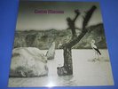 TONTON MACOUTE - TONTON MACOUTE - SEALED