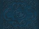 RYAN ADAMS & CARDINALS - COLD ROSES NEW VINYL