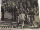 Skinhead Cock Sparrer, Running Riot In 84 Vinyl LP