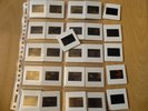 Gary Moore Unpublished Dia Slides archive VERY RARE