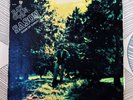 RAY OLAN Y SU SASON - Sugar On Sunday [Vinyl LP,1970] USA Import SLPA 8770 *EXC