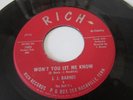 J.J. BARNES NORTHERN SOUL RICH LABEL MY LOVE CAME TUMBLING DOWN /WON'T YOU LET