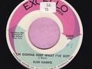 Slim Harpo 