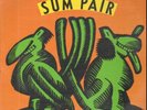 ROCK / PSYCH LP - SONNY & DOUG 