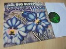 LP' BIG SLEEP - BLUEBELL WOOD / 1971 ger-GLOBAL gatefold-cover SIEHE 12xFOTOS
