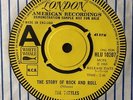 THE TURTLES: DEMO COPY 