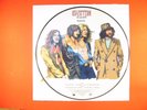 TRES RARE 33T PICTURE DISC LED ZEPPELIN  KASHMIR